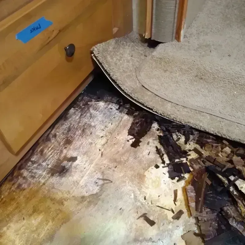 Best Wood Floor Water Damage Service in Janesville, MN